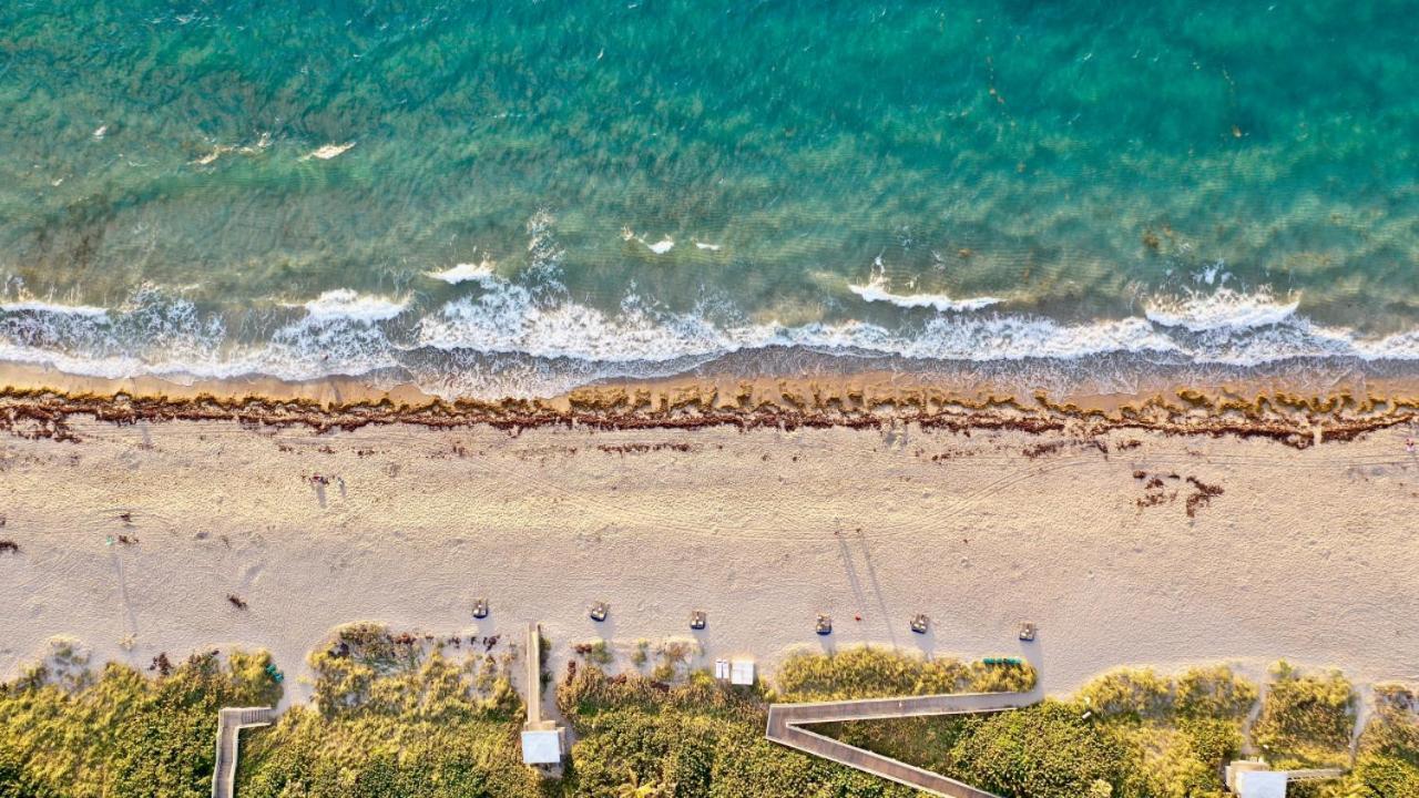 1Br Rooftop Pool-10 Min Walk To Beach Boynton Beach Exteriör bild